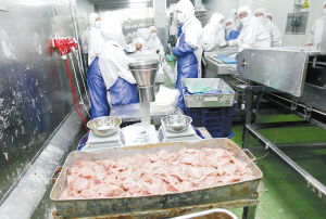 福喜案一审宣判 两公司共处罚金240万元，委托生产经营引深思